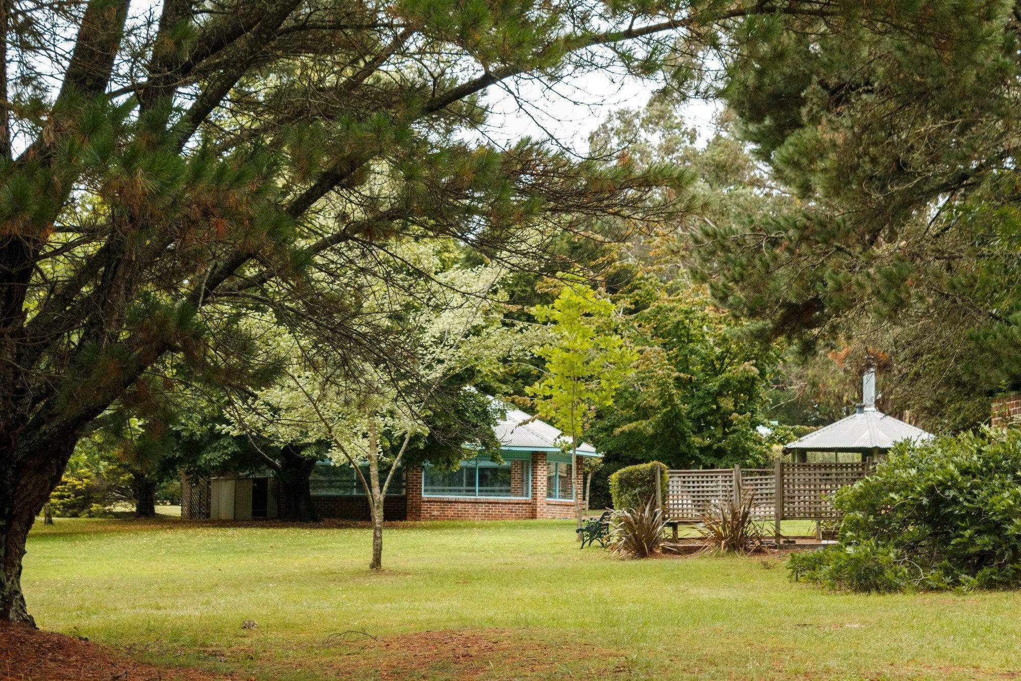 Federation Gardens & Possums Hideaway Villa Blackheath Exteriör bild