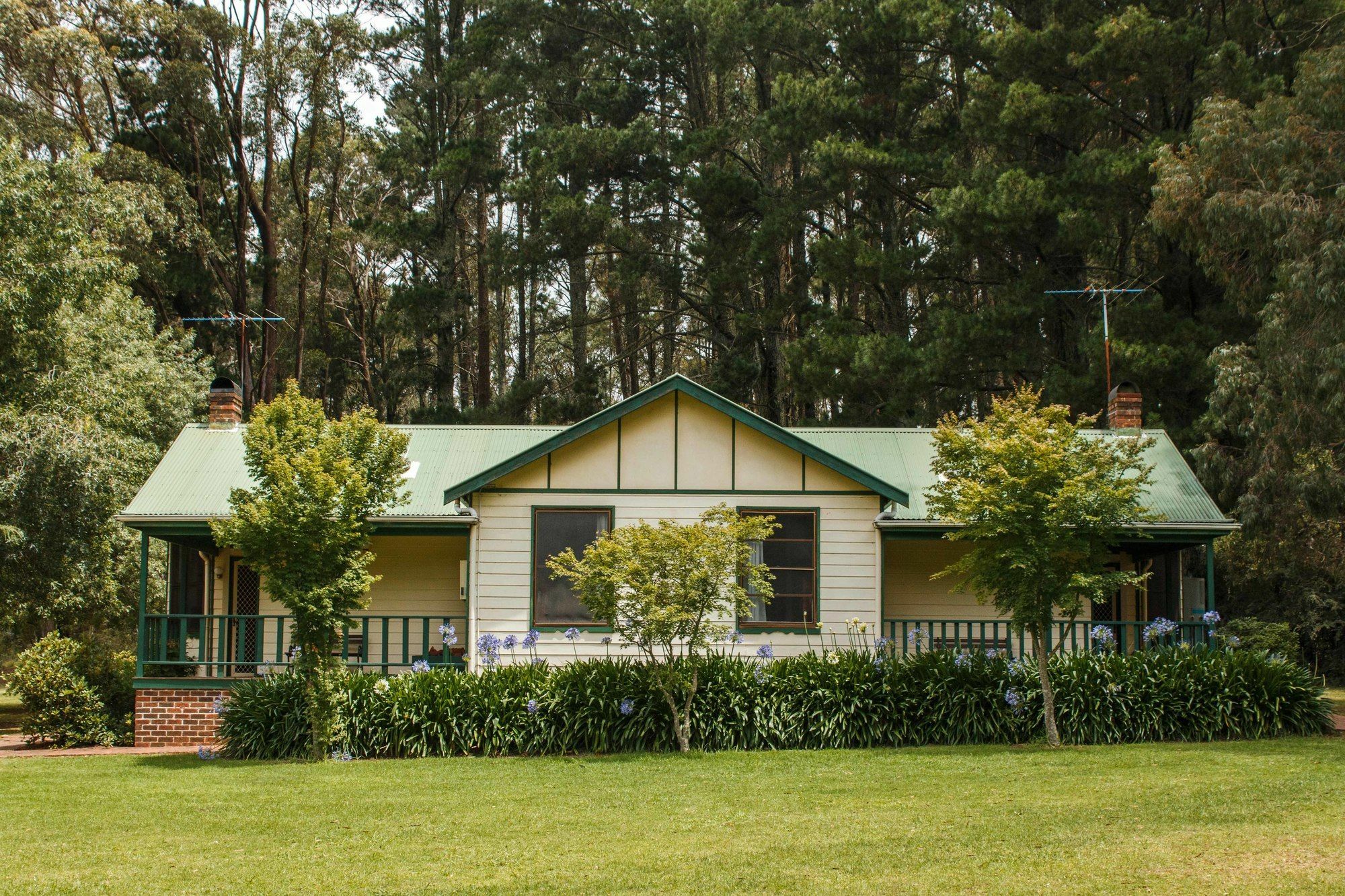Federation Gardens & Possums Hideaway Villa Blackheath Exteriör bild